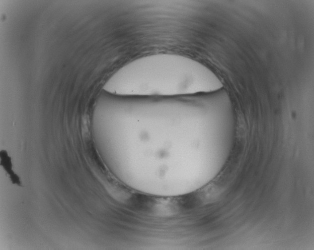 X0000068770130200604281027