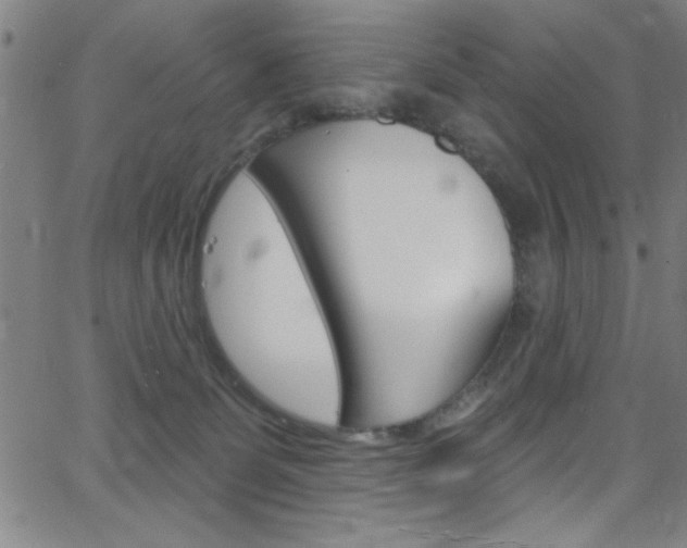 X0000068770131200604281027