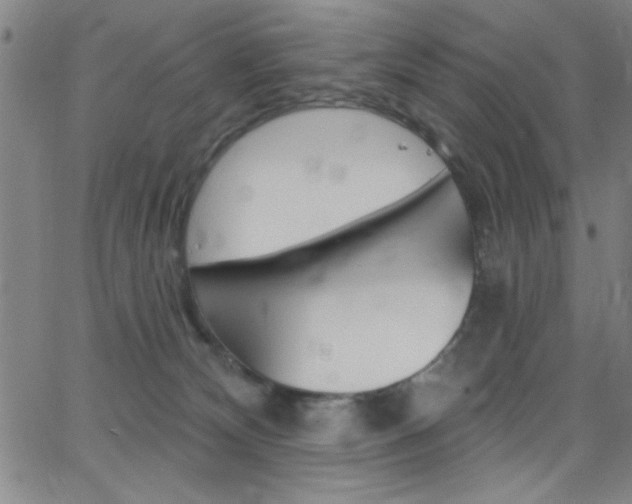 X0000068770132200604281027