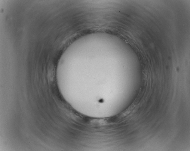 X0000068770133200604281027