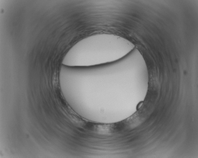 X0000068770134200604281027