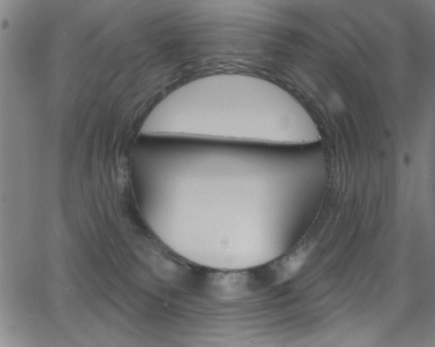 X0000068770135200604281027