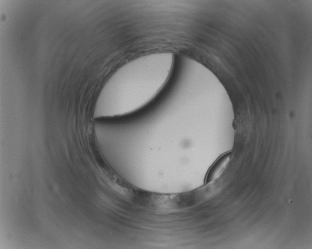 X0000068770136200604281027