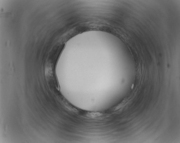 X0000068770137200604281027