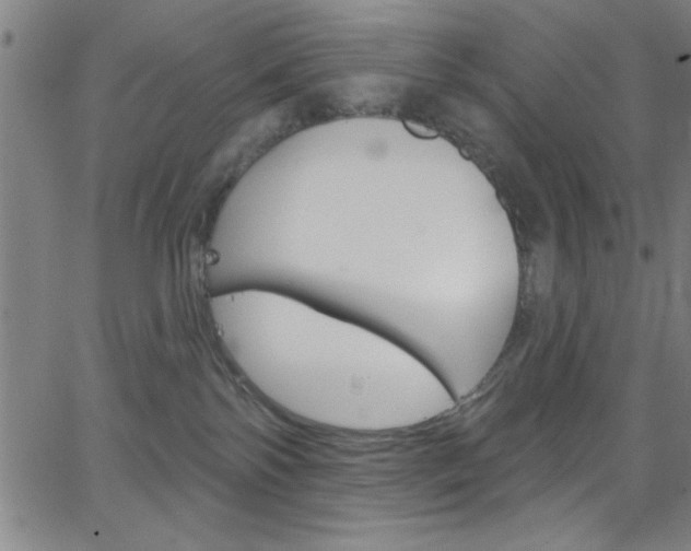 X0000068770138200604281027