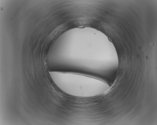 X0000068770140200604281027