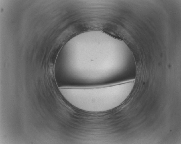 X0000068770141200604281027