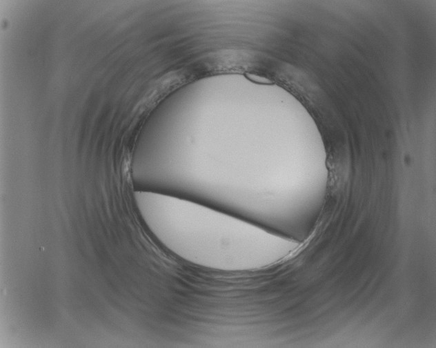 X0000068770142200604281027