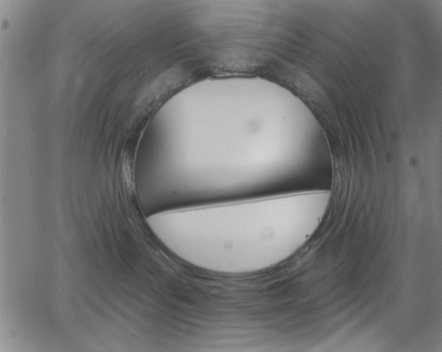 X0000068770143200604281027