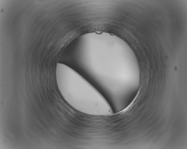 X0000068770144200604281027