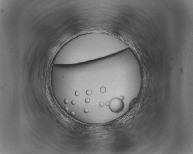 X0000068770145200604281026