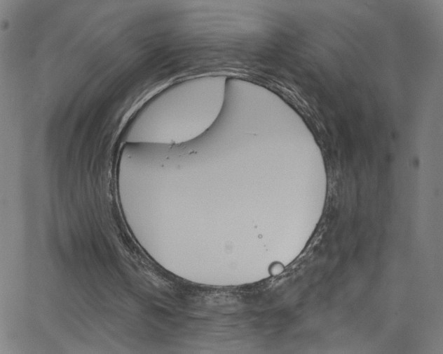 X0000068770146200604281026