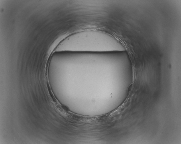 X0000068770147200604281026