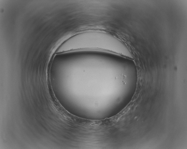 X0000068770148200604281026