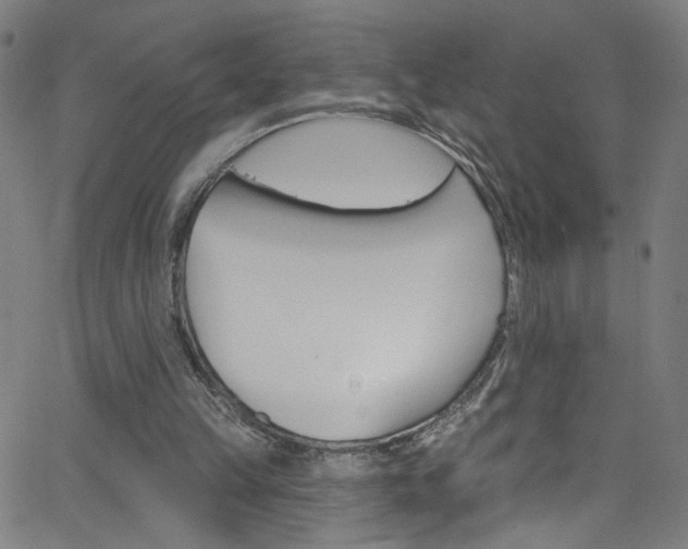 X0000068770149200604281026