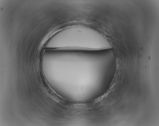 X0000068770150200604281026