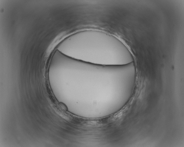 X0000068770151200604281026