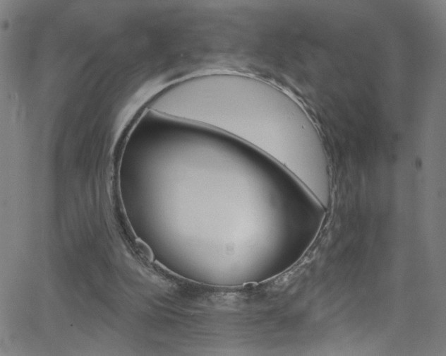 X0000068770152200604281026