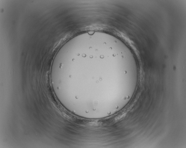 X0000068770153200604281026