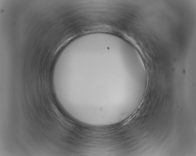 X0000068770154200604281027