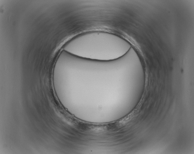 X0000068770155200604281027