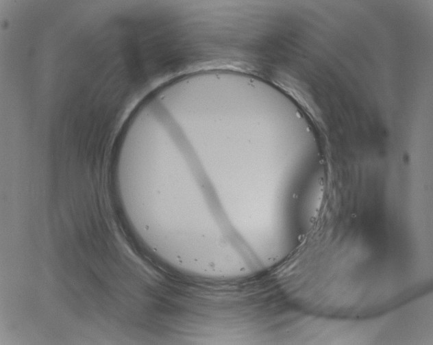 X0000068770156200604281027