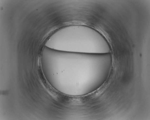 X0000068770157200604281027