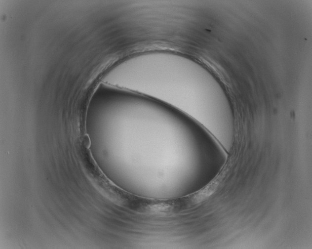 X0000068770158200604281027