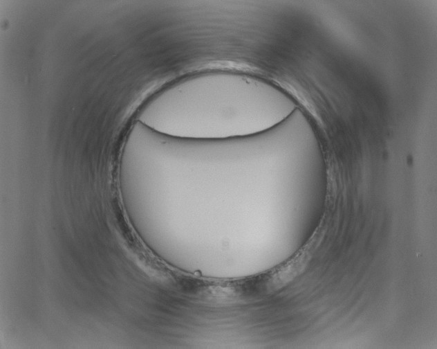 X0000068770159200604281027