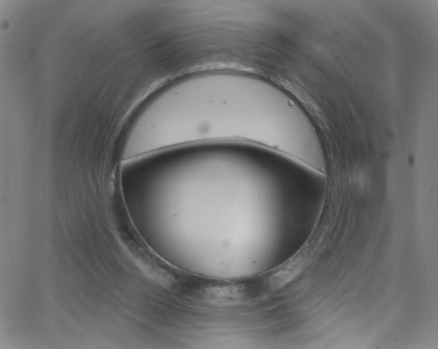 X0000068770160200604281027