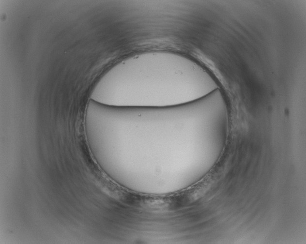 X0000068770161200604281027