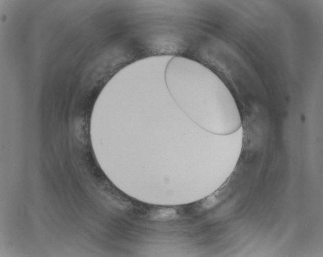 X0000068770162200604281027