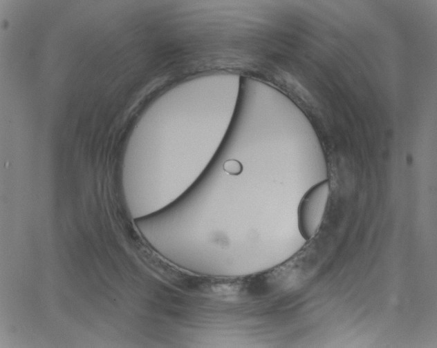 X0000068770163200604281027