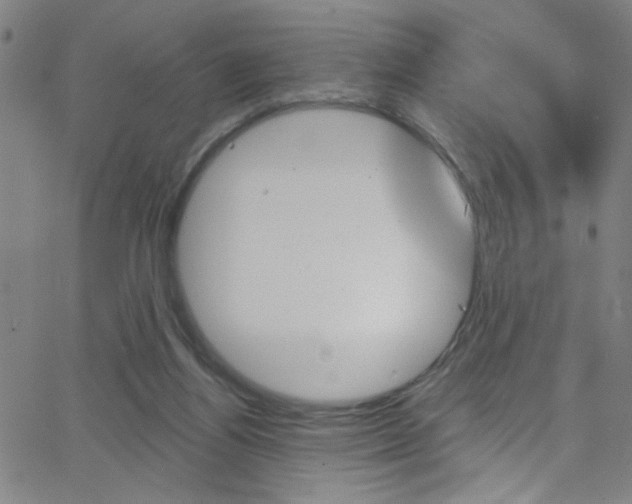 X0000068770164200604281027