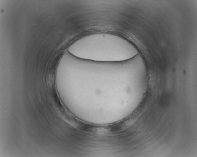 X0000068770165200604281027