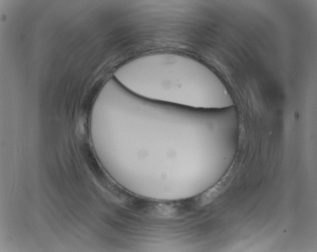 X0000068770166200604281027