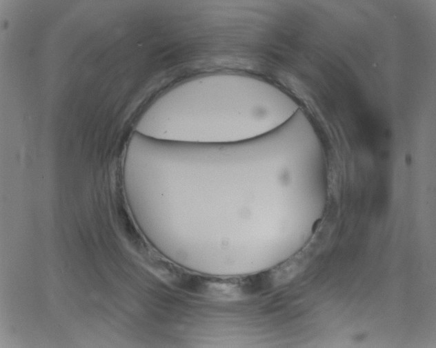 X0000068770167200604281027