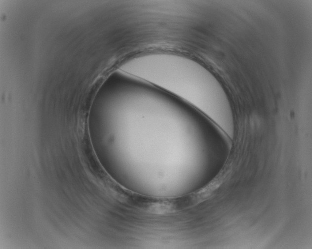 X0000068770168200604281027