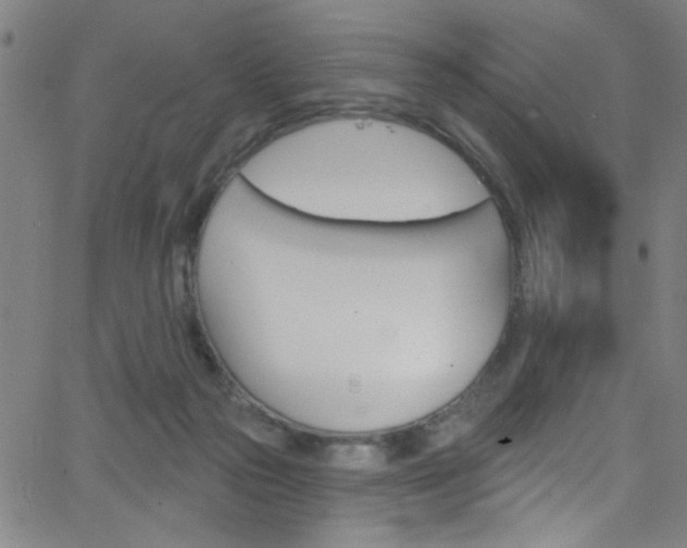 X0000068770169200604281027