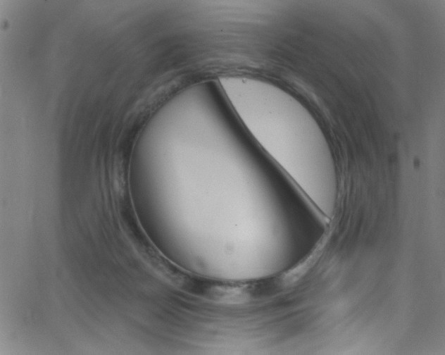 X0000068770170200604281027