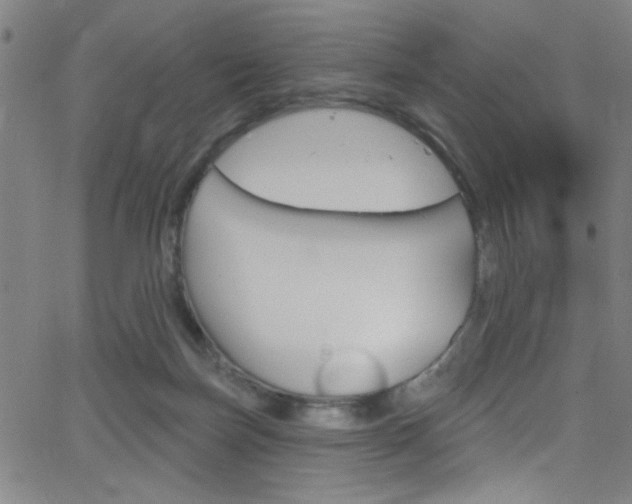 X0000068770171200604281027