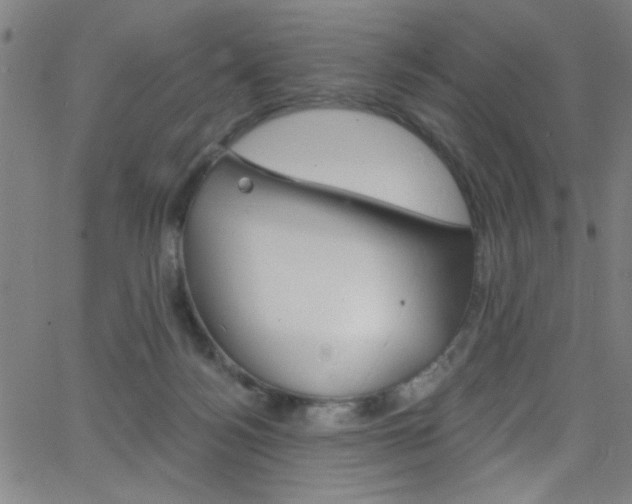 X0000068770172200604281027