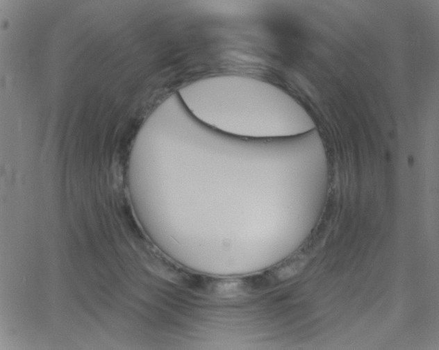 X0000068770173200604281027