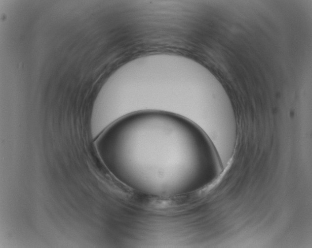 X0000068770174200604281027