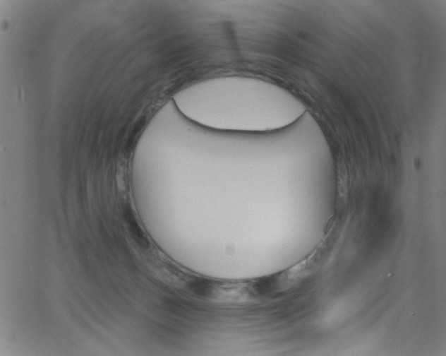 X0000068770175200604281027