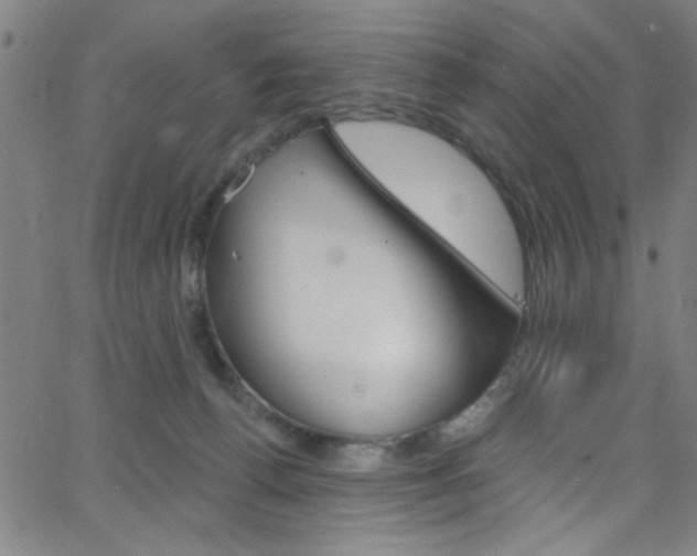 X0000068770176200604281027