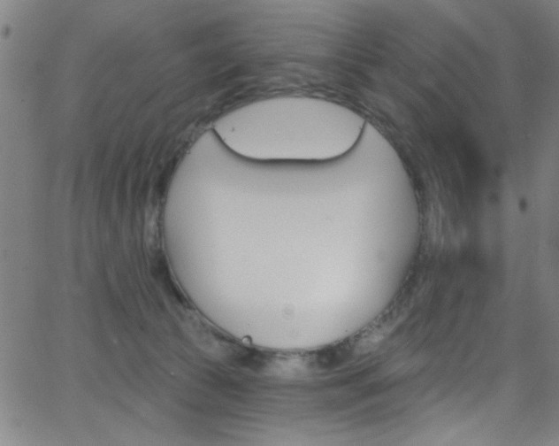 X0000068770177200604281027