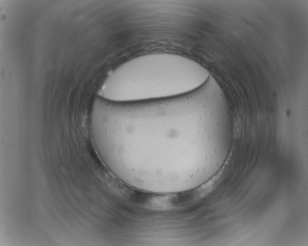 X0000068770178200604281027