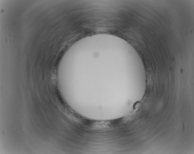 X0000068770179200604281027