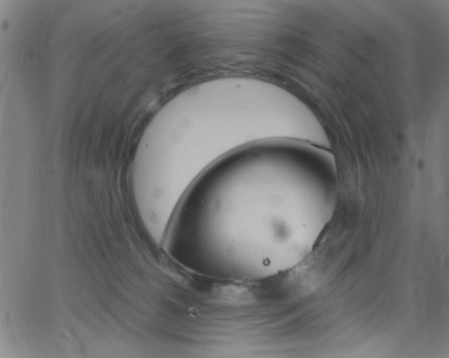 X0000068770180200604281027